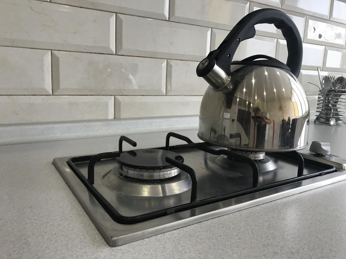 Vip Apartament In The Center トラスコヴェッツ エクステリア 写真